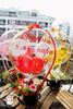 Снимка на Balloon Gift 🎈(кошничка с естествени цветя)
